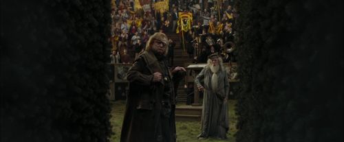 Click to view full size image
==============
CdF-Potterish_7197.jpg CdF-Potterish_7197.jpg