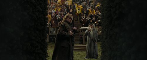CdF-Potterish_7198.jpg