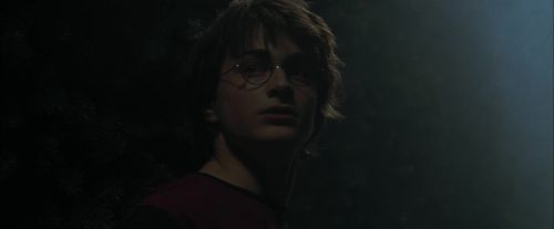 CdF-Potterish_7206.jpg