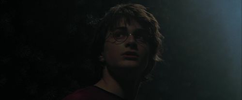 CdF-Potterish_7207.jpg