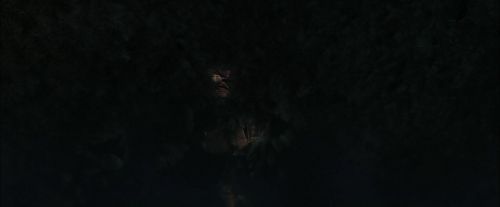 CdF-Potterish_7209.jpg
