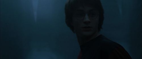 Click to view full size image
==============
CdF-Potterish_7244.jpg CdF-Potterish_7244.jpg