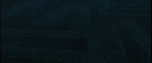 Click to view full size image
==============
CdF-Potterish_7256.jpg CdF-Potterish_7256.jpg