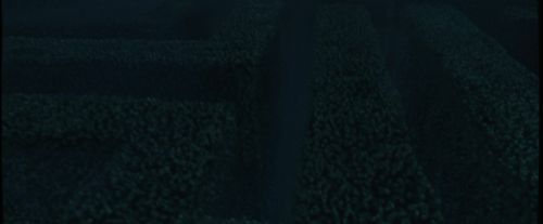 Click to view full size image
==============
CdF-Potterish_7257.jpg CdF-Potterish_7257.jpg