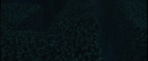 Click to view full size image
==============
CdF-Potterish_7258.jpg CdF-Potterish_7258.jpg