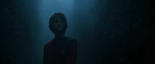 CdF-Potterish_7308.jpg