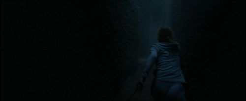 Click to view full size image
==============
CdF-Potterish_7324.jpg CdF-Potterish_7324.jpg