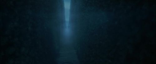 CdF-Potterish_7330.jpg