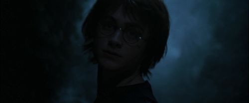 Click to view full size image
==============
CdF-Potterish_7336.jpg CdF-Potterish_7336.jpg