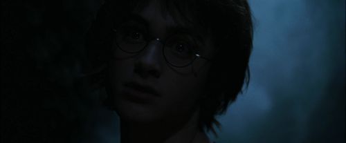 Click to view full size image
==============
CdF-Potterish_7339.jpg CdF-Potterish_7339.jpg