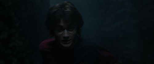 CdF-Potterish_7352.jpg