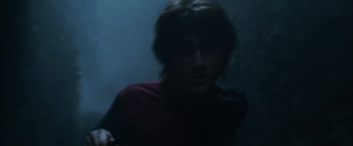 CdF-Potterish_7354.jpg