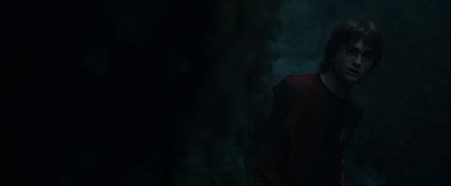 Click to view full size image
==============
CdF-Potterish_7358.jpg CdF-Potterish_7358.jpg