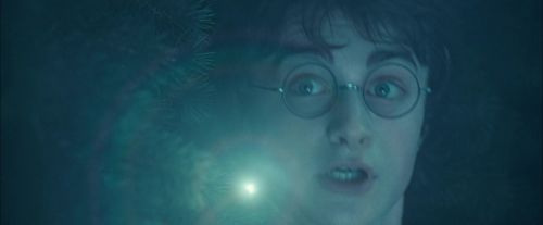 Click to view full size image
==============
CdF-Potterish_7372.jpg CdF-Potterish_7372.jpg