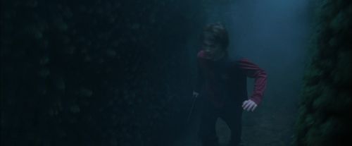 CdF-Potterish_7388.jpg