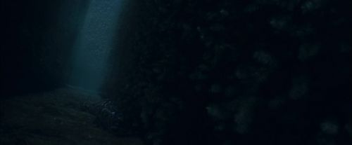 CdF-Potterish_7392.jpg