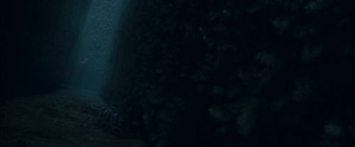 Click to view full size image
==============
CdF-Potterish_7393.jpg CdF-Potterish_7393.jpg