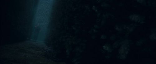 CdF-Potterish_7395.jpg