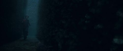 Click to view full size image
==============
CdF-Potterish_7396.jpg CdF-Potterish_7396.jpg
