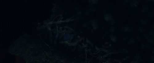 CdF-Potterish_7399.jpg
