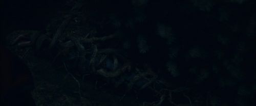 CdF-Potterish_7400.jpg