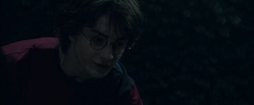 CdF-Potterish_7402.jpg