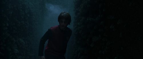 Click to view full size image
==============
CdF-Potterish_7404.jpg CdF-Potterish_7404.jpg