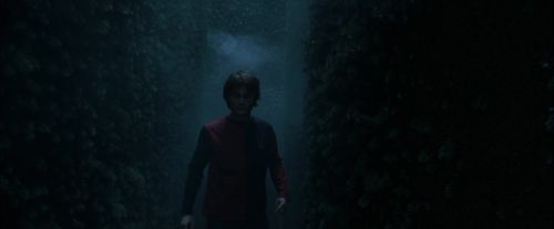 CdF-Potterish_7405.jpg