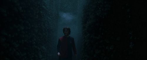 CdF-Potterish_7406.jpg