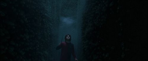 Click to view full size image
==============
CdF-Potterish_7407.jpg CdF-Potterish_7407.jpg