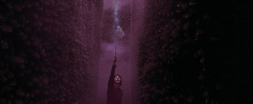 CdF-Potterish_7408.jpg