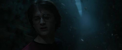 Click to view full size image
==============
CdF-Potterish_7426.jpg CdF-Potterish_7426.jpg