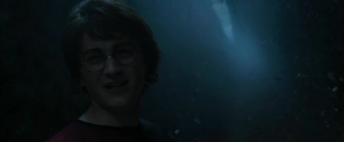 Click to view full size image
==============
CdF-Potterish_7427.jpg CdF-Potterish_7427.jpg