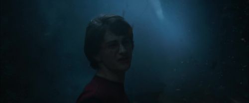 Click to view full size image
==============
CdF-Potterish_7428.jpg CdF-Potterish_7428.jpg
