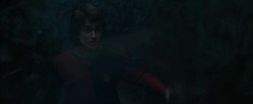 Click to view full size image
==============
CdF-Potterish_7433.jpg CdF-Potterish_7433.jpg