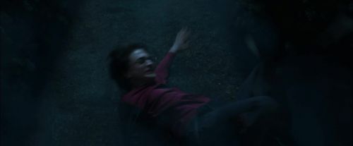 CdF-Potterish_7436.jpg