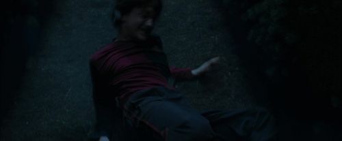 CdF-Potterish_7437.jpg