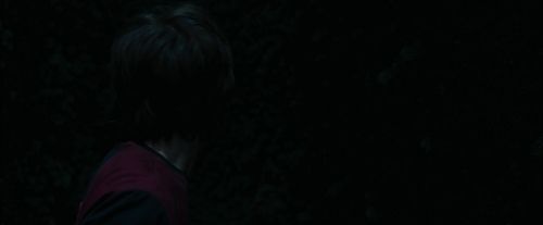 CdF-Potterish_7440.jpg