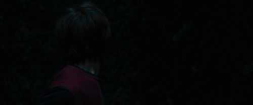 CdF-Potterish_7441.jpg