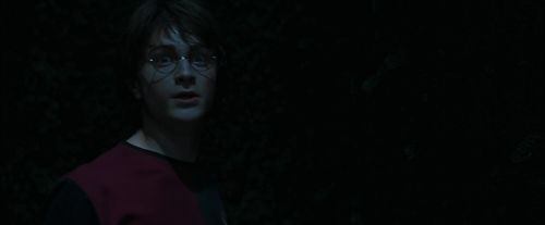 CdF-Potterish_7442.jpg