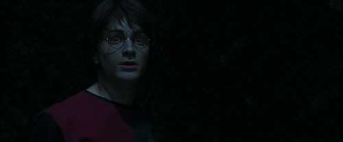 CdF-Potterish_7443.jpg