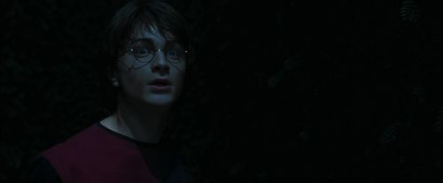 Click to view full size image
==============
CdF-Potterish_7444.jpg CdF-Potterish_7444.jpg