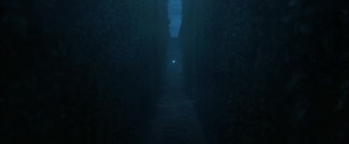 CdF-Potterish_7445.jpg