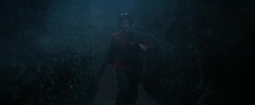 CdF-Potterish_7448.jpg
