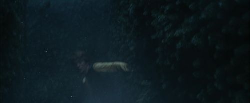 Click to view full size image
==============
CdF-Potterish_7452.jpg CdF-Potterish_7452.jpg