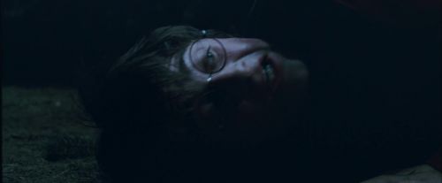 Click to view full size image
==============
CdF-Potterish_7456.jpg CdF-Potterish_7456.jpg