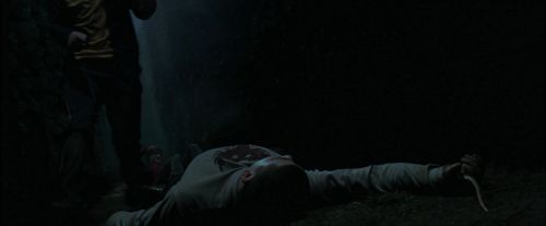 Click to view full size image
==============
CdF-Potterish_7462.jpg CdF-Potterish_7462.jpg