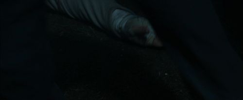 Click to view full size image
==============
CdF-Potterish_7463.jpg CdF-Potterish_7463.jpg