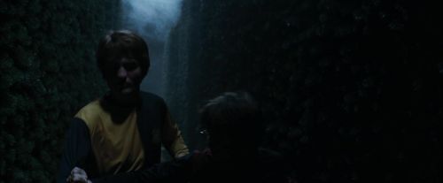 CdF-Potterish_7467.jpg
