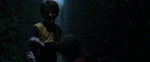 Click to view full size image
==============
CdF-Potterish_7468.jpg CdF-Potterish_7468.jpg